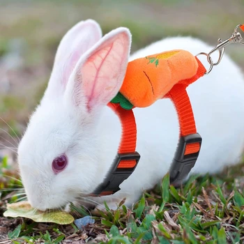 Шлейки для кроликов, комплект шлейки для мелких животных и поводка, регулируемый милый костюм для хомяка, кролика, морской свинки, украшения