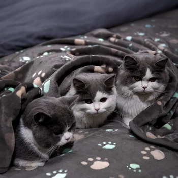 Коралловое бархатное одеяло для домашних собак, мягкий Комфортный теплый коврик, Моющееся Милое одеяло, Прочная подстилка для собак, одеяло для кошки, котенка, щенка, грелка для домашних животных
