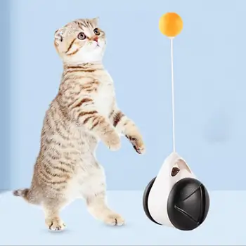 Кошка Котенок Качающееся колесо Кошачий Мятный мяч Забавная игра Интерактивная игрушка Товары для домашних животных
