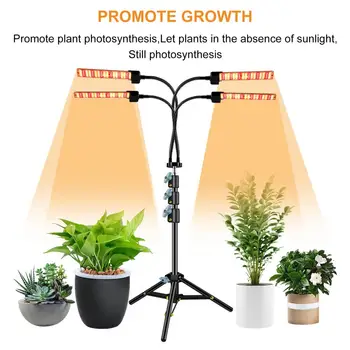 Лампа для выращивания растений с питанием от USB, полный спектр, четырехголовочный светодиодный светильник для выращивания суккулентов мощностью 30 Вт, с кронштейном для помещений